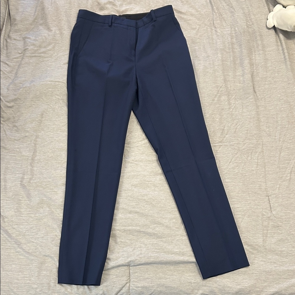 Theory size 2 treeca style pants